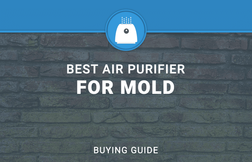 air purifier for mold spores