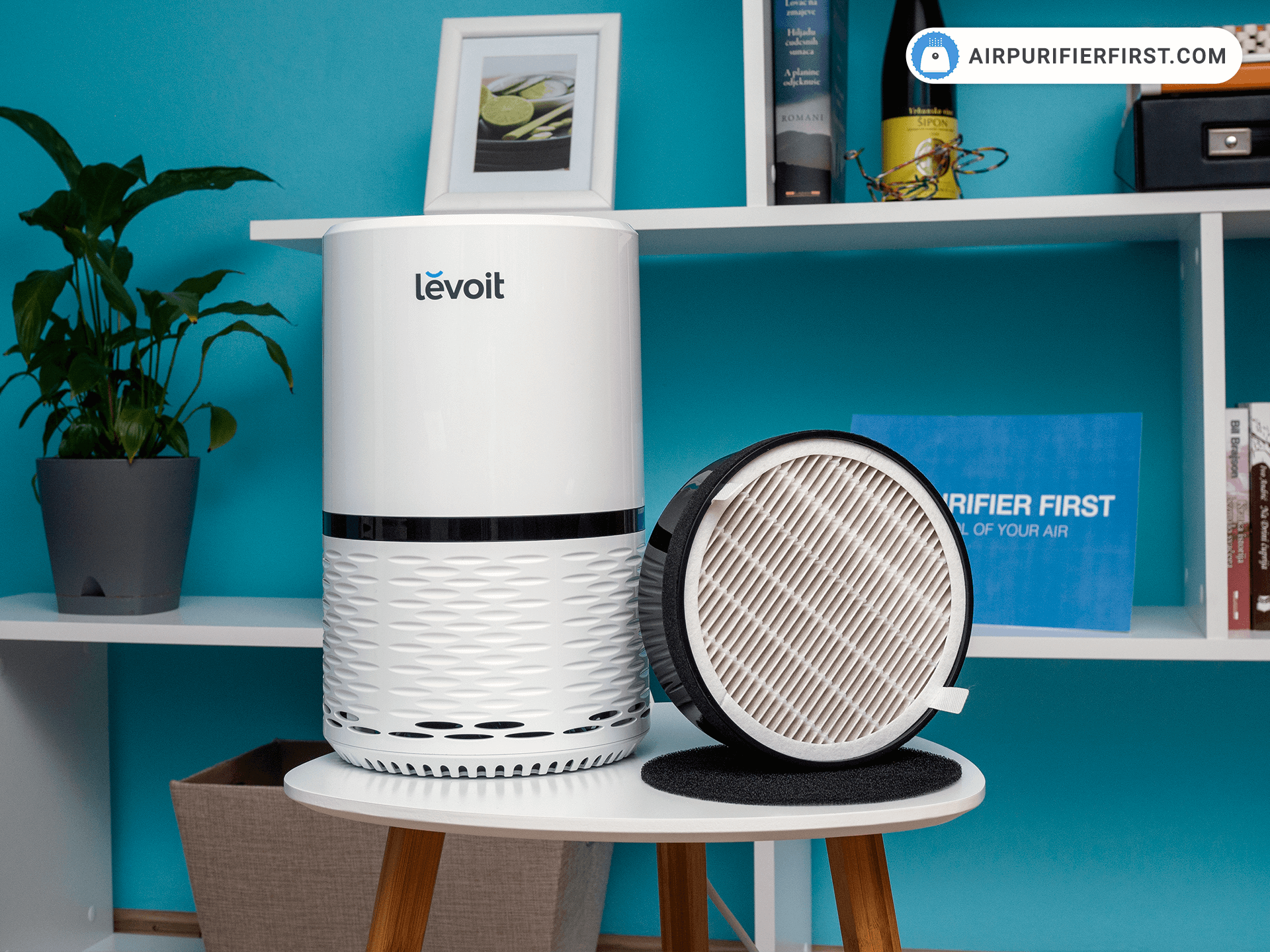 Levoit Air Purifier LV-H132-WM True HEPA and Upgraded Filter for Smoke  Odors Pet