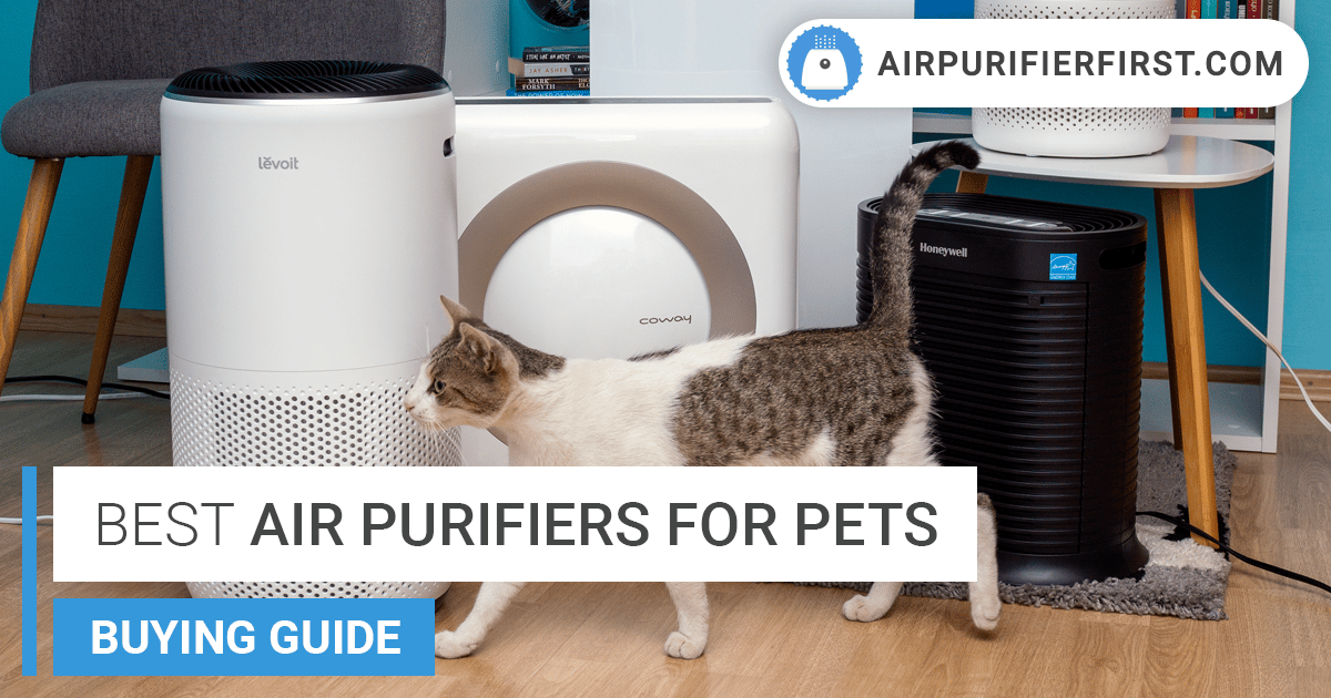 5 Best Air Purifiers For Pets Remove Pet Hair & Fur (2023)