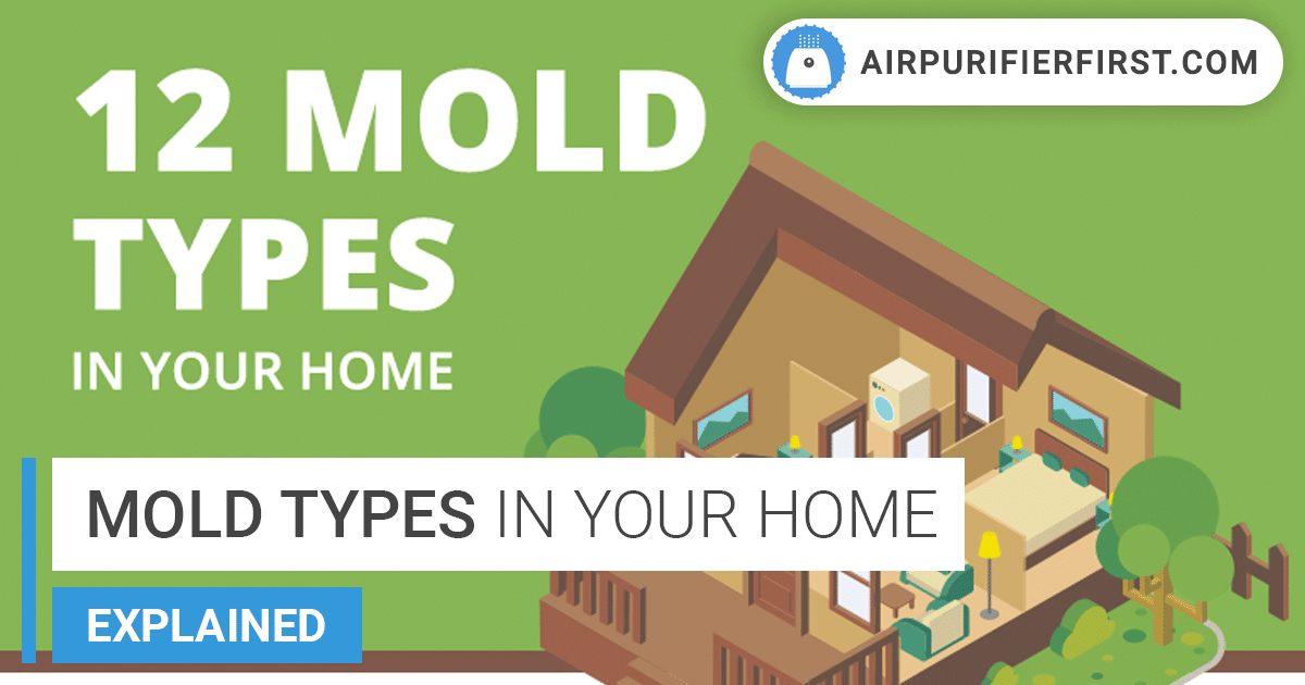 12 Different Types of Mold Found in Houses